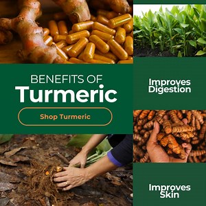 Why buy turmeric when you can grow your own? Turmeric is packed with health benefits—anti-inflammatory, antioxidant-rich, and immune-supporting. Now available for planting at home. | Hoss