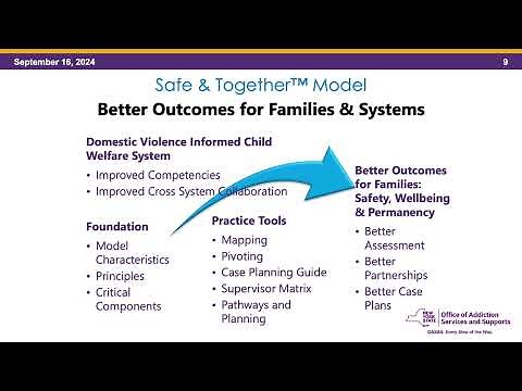 Introduction to the Safe and Together Model