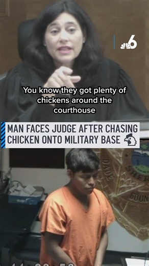 3.4M views · 137K reactions | A man who chased a chicken into a federal Air Force base went before a judge Tuesday who took a comical approach in court. When speaking to the man, Judge Mindy Glazer said there were 'plenty of chickens around the courthouse' should ever find himself missing one. Bond was set at $1, but the man now has to deal with an immigration hold. #court #chicken #judge #airforce | NBC 6 | Facebook