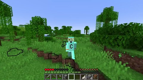 Minecraft but there are Cartoon Items