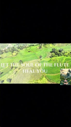 Mystical Hmong Bamboo Flute 🌿 Healing Mountain Spirit | Soul of the East