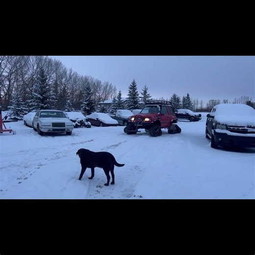 Passion Motorworks GMC GEO Tracker gets new Tracks traded in its tires for four new tracks !!