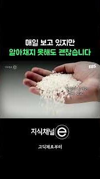 우리가 쓰는 한글 "기본 폰트" 최초 디자인한 사람 #지식채널e #지식채널 #한글 #글꼴 #글씨체 #고딕체 #고딕 #한글날 #한글