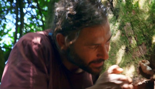 原始求生记：安地斯山脉