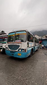 Save and share with your friends Detail reels coming soon… Petrol...