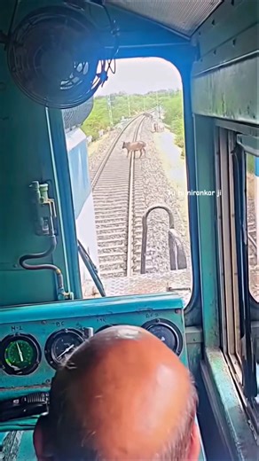 Kisi bhi chij Ko Dekhkar Loko pilot train slow Kyon Nahin Karte Hain? #shortvideo#shorts#facts