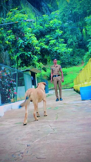Police Dog Training: Building a Strong Bond