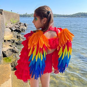 Rainbow Macaw Costume Feather Wings, Tropical Bird Wings for Adults Teens Children, Halloween Bird Accessory, Cosplay Feather Wings ZUCKER® - Etsy