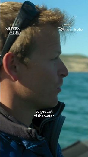 Our ocean is home to so many creatures, but Bertie Gregory has his eye on just one #SharksUpClose
