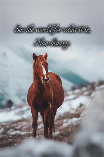 Understanding and Celebrating Agender Identities