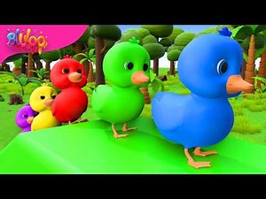 Five Little Ducks | Colorful Ducks Song | BluLoo Nursery Rhymes & Kids Songs