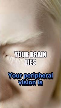 Your Brain Lies About Object Size