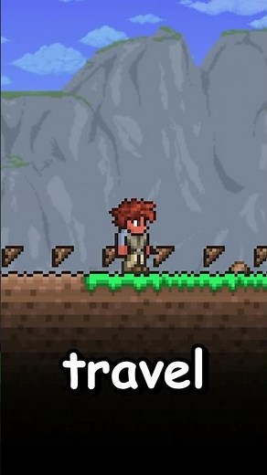 THIS IS A HOIK IN TERRARIA #steam #terraria #tmodloader