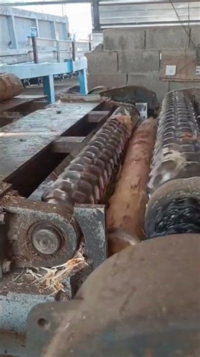 Log Debarking Machine in Action | Satisfying Wood Processing