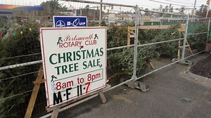 Five Places to Buy Christmas Trees