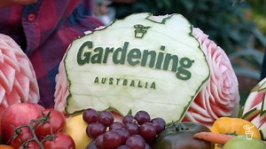 Tropical Joy - Gardening Australia