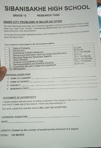 Research Task: Inner City Problems in Major South African Citie... | Filo