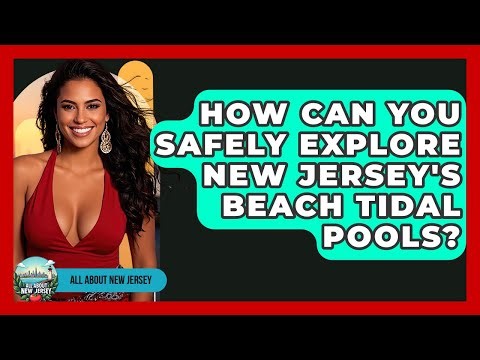 How Can You Safely Explore New Jersey's Beach Tidal Pools? - All About New Jersey