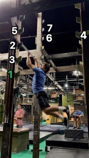 Salmon Ladder Levels