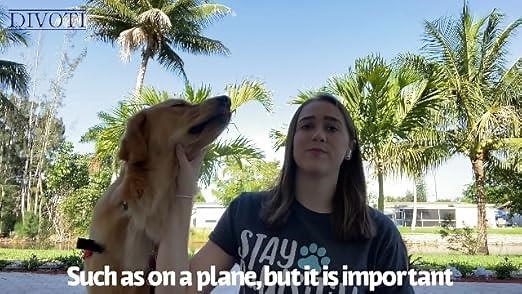 Best Service Dog Tags & Emotional Support Animal Tags