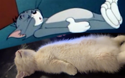 猫 和 老 鼠 诚 不 欺 我 ！