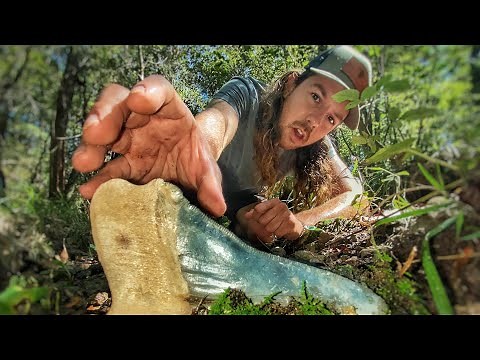 The BEST Megalodon Shark Tooth Hunt I Have Had in a LONG Time! Florida Fossil Shark Tooth Hunting