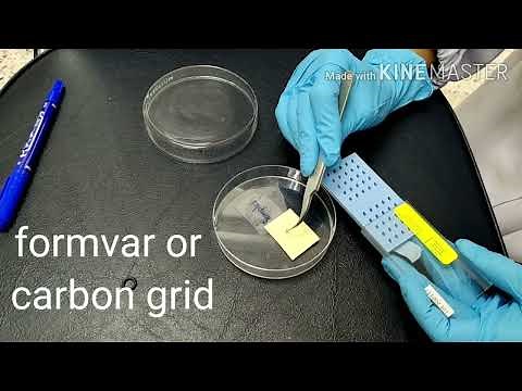 How to prepare TEM sample