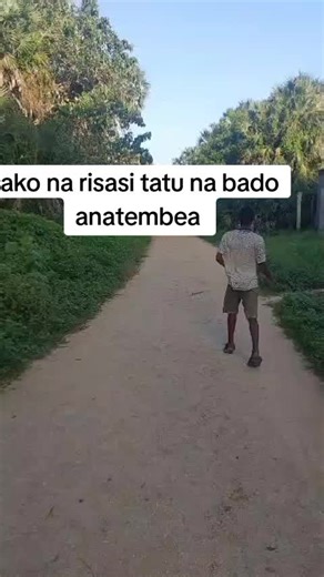 Adult Hippopotamus Walking Calmly in Nature