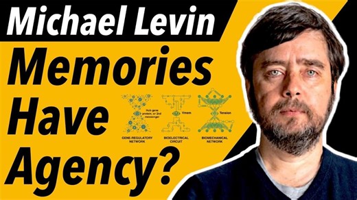 On Memory as a Self-Adapting Agent – Lifeboat News: The Blog