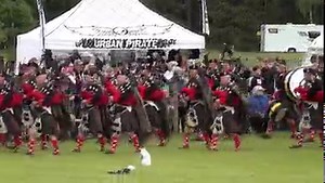 3.6K reactions · 312 shares | The Atholl Highlanders, led by their...