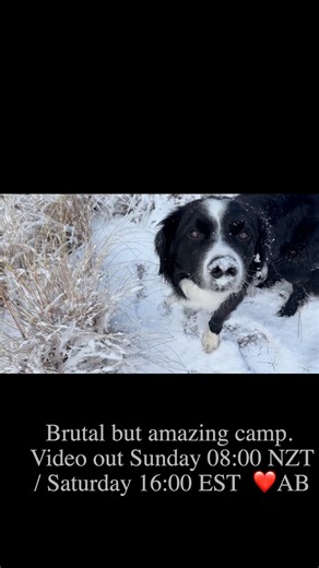 AB Camping and Outdoors on Reels