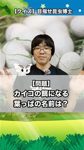 カイコの幼虫の餌になる葉っぱの名前はなんでしょうか？｜【クイズ】目指せ昆虫博士！#カブトムシ #クワガタ #クワカブ #昆虫 #飼育方法 #初心者 #採集