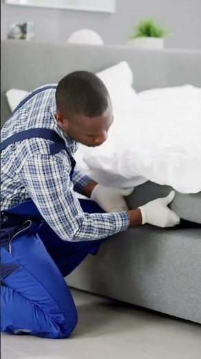 How Do Bed Bugs Spread