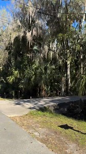 My paradise… | J Morgan Adams