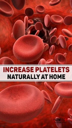 20K views · 109 reactions | Increase Platelets Naturally At Home #blood #bloodcells #platelets | Health+ | Facebook