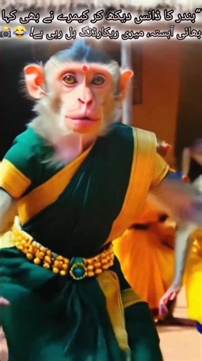 Best monkey dance 🐒 viral monkey dancing compilation / funny pet videos#CuteMonkey​