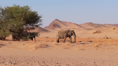 Top 10 places to visit in Namibia travel guide