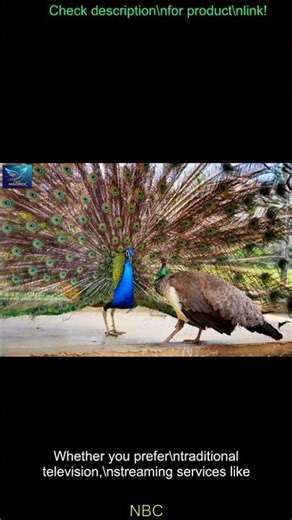 How Review (2025): Shocking Truth Revealed!