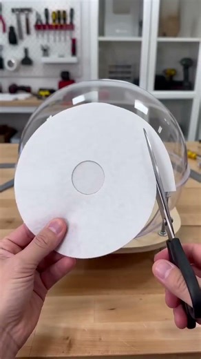 Making the Perfect Little House for My Pet #shorts #Pet