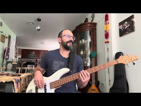 Paul Simon - Graceland - Bass Cover