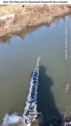 The Man Burst Rocket Crackers During Eid 🚀🤯🔥