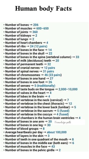 Human Body Facts You Must Know | Amazing Human Body Numbers 🧠💀 #knowledgepills