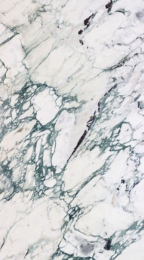 Breccia Capraia Polished | Ollin Stone
