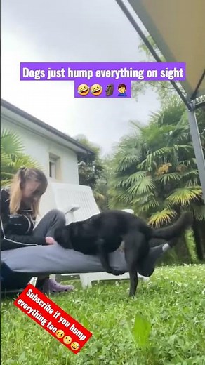 Trust? Dog humping girl for fun🤣🗿😬 #dog #girl #hump #meme