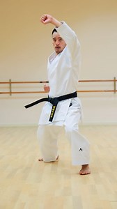 6.5K views · 716 reactions | Kata Jion 屢️ | Ultimate Karate USA | Facebook