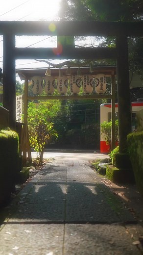 箱根の塔ノ沢駅にある神社の魅力