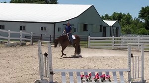 2.1K views · 18 reactions | HILLBILLY CADILAC Is a 7yr old Sorrel Gelding. He is by These Irons Are Hot and out of Bobbin Machine. He has 28 Open HUS points and has earned $639 in the NSBA. VERY REASONABLY PRICED! We are located in Caseyville, ILL. For more information, contact Mark Harrell at 618-407-3221. | Mark Harrell Equine Marketing | Facebook