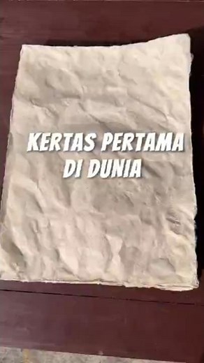 The Process of Making Paper from Tree Bark