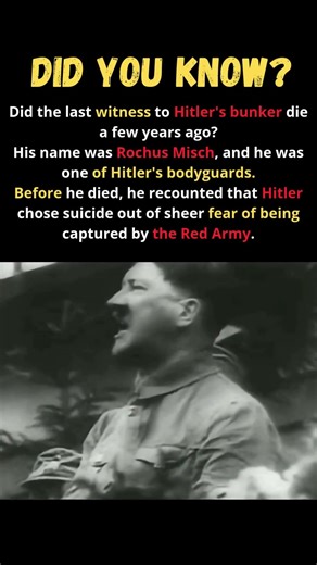 Rochus Misch: The memoirs of the bodyguard who witnessed the end of the Third Reich#history#funfacts
