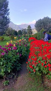 Beautiful flowers 💐🌹 | See The World